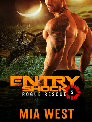 cover image of Entry Shock